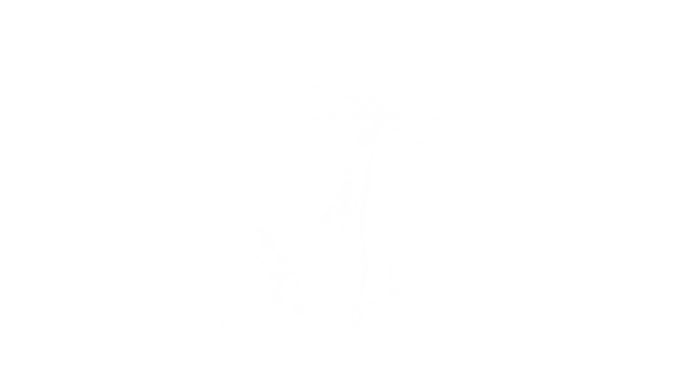 Palm Tree Illustration
